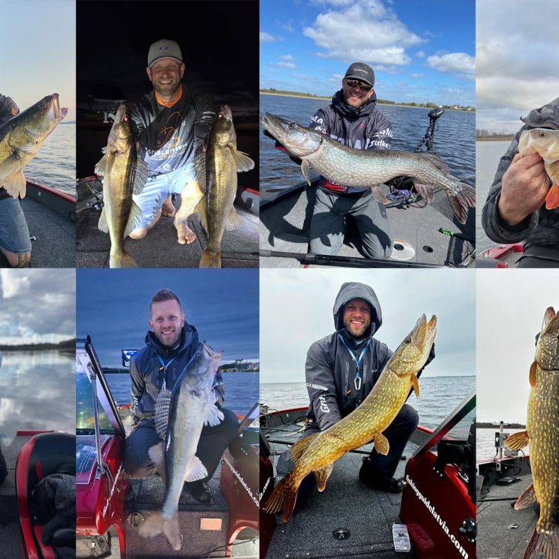 best time to fish in Latvia month by month