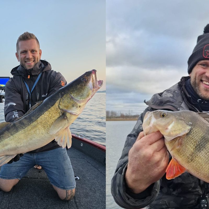 Fishing season, rules, restrictions, fish limits and sizes in Latvia